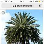 alexislee onlyfans leaked picture 1