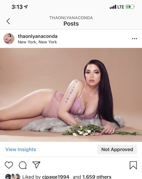 andreaanaconda onlyfans leaked picture 2