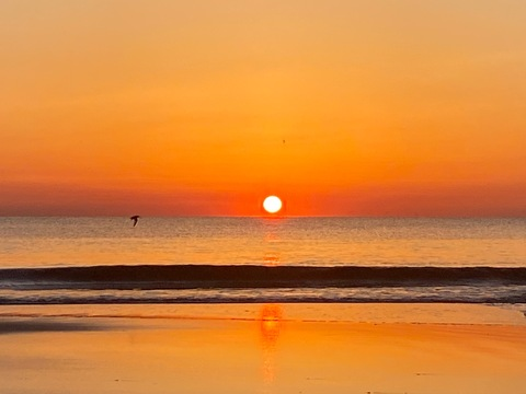 babymoms017 onlyfans leaked picture 2