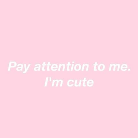 chubbybunny89 onlyfans leaked picture 2