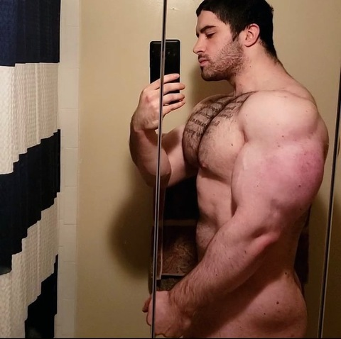 dimaromanovofficial onlyfans leaked picture 2