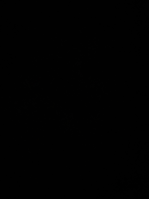 donutdaddy onlyfans leaked picture 2