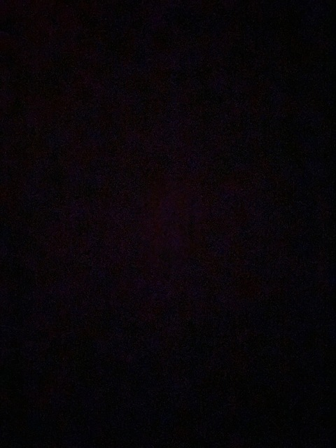 gisviz onlyfans leaked picture 2