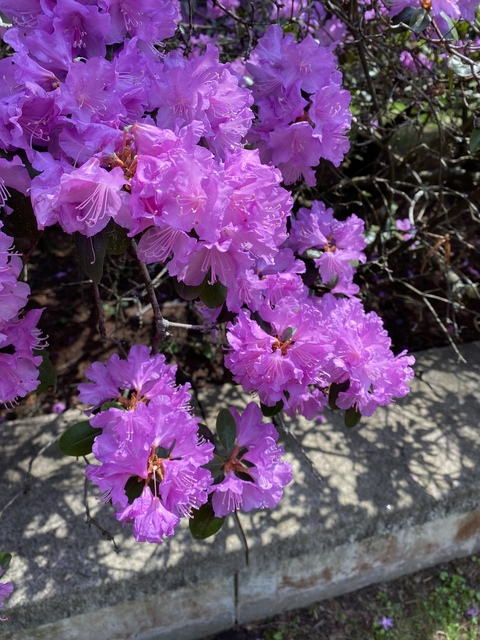 hh234573268 onlyfans leaked picture 2