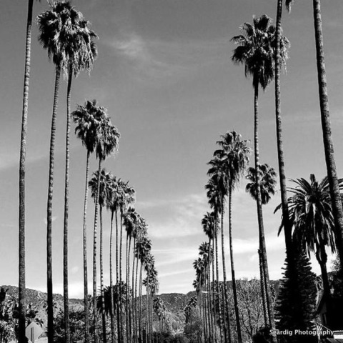 holewrecker69 onlyfans leaked picture 2