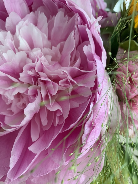 iidaketola onlyfans leaked picture 2