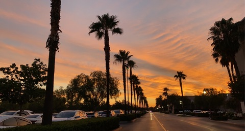 inthemoodxxx onlyfans leaked picture 2