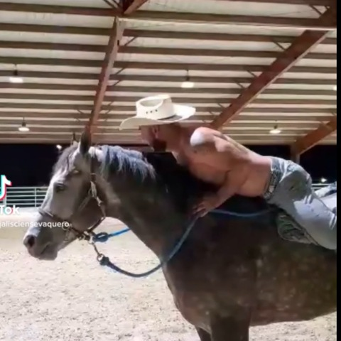 jalisciensevaquero onlyfans leaked picture 2