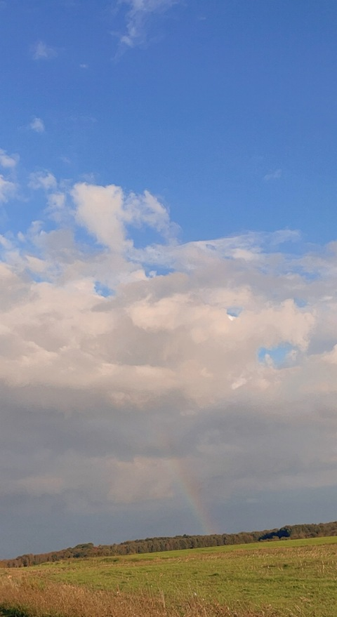 privatexxplay onlyfans leaked picture 2