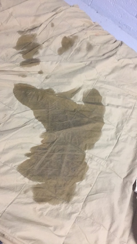 themadyson onlyfans leaked picture 2