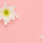 Trending @xoxoxoxo11 leaked Onlyfans photos for free 

 profile picture