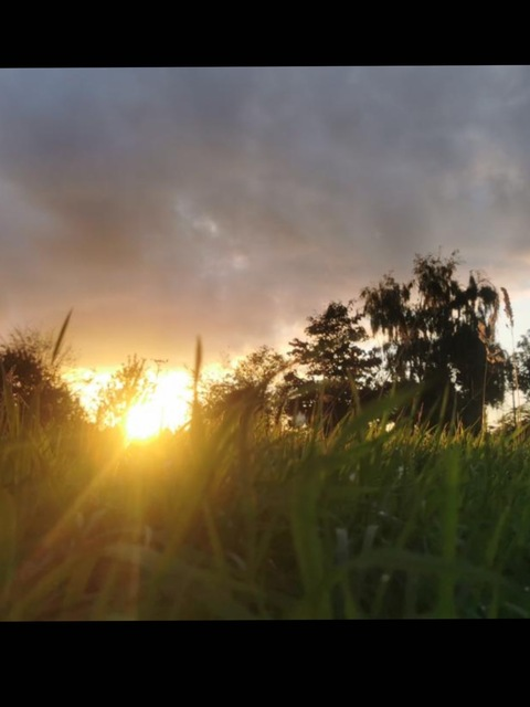 youngsinnernaughyboi onlyfans leaked picture 2